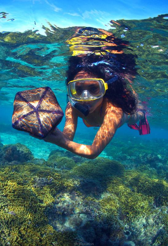 Fisheye Snorkeling with Observatory