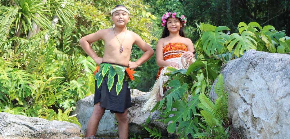 Island Costume and Coconut Experience