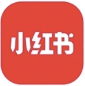 小红书 官方账号